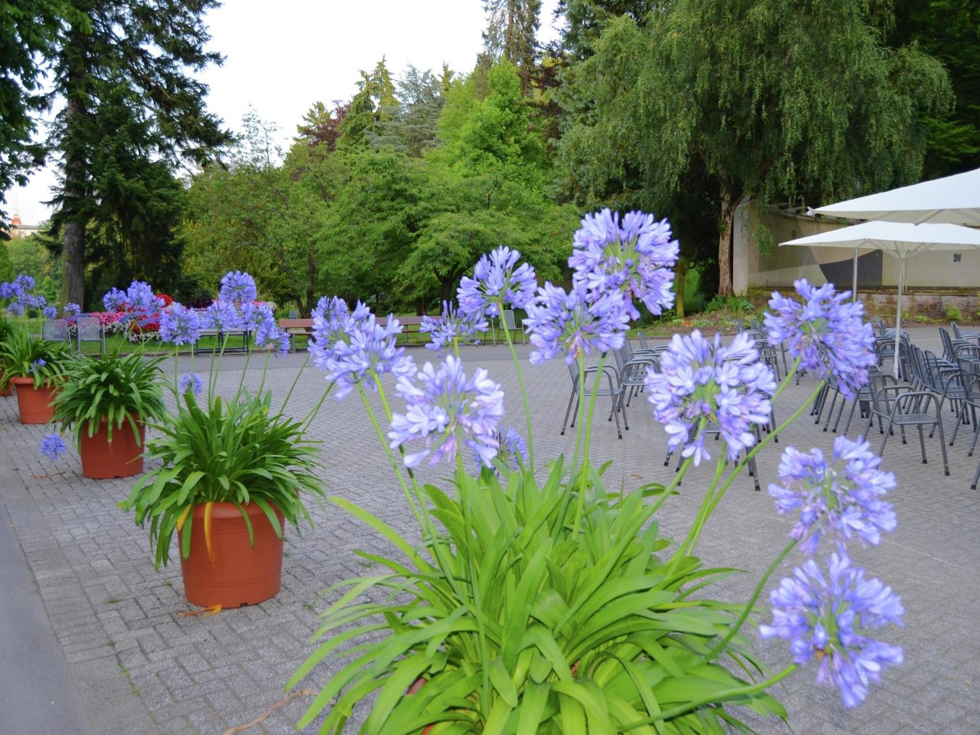 Charming Apartment With Private Terrace Бад Вилдунген Екстериор снимка